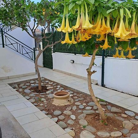 קורופיון Dimitris Place Near Athens Airport מראה חיצוני תמונה