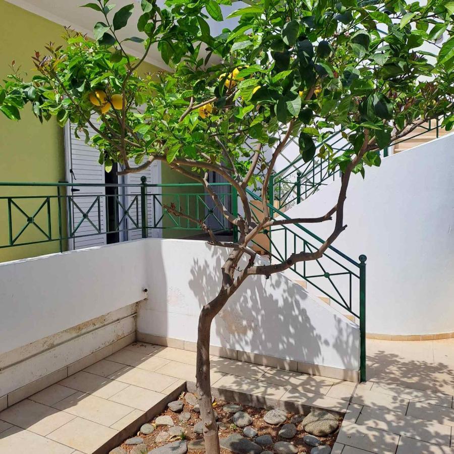 קורופיון Dimitris Place Near Athens Airport מראה חיצוני תמונה