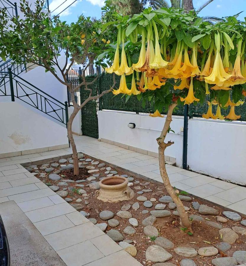 קורופיון Dimitris Place Near Athens Airport מראה חיצוני תמונה