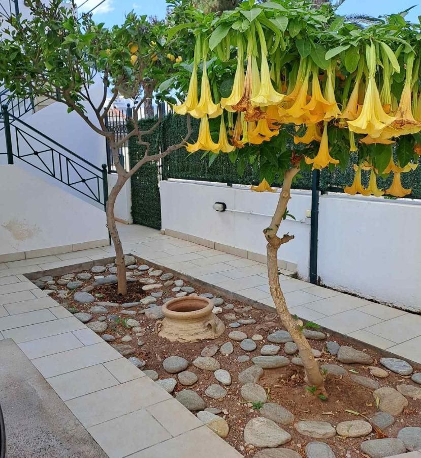 קורופיון Dimitris Place Near Athens Airport מראה חיצוני תמונה