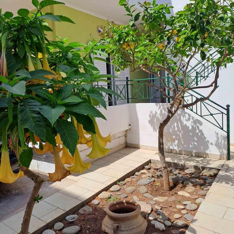 קורופיון Dimitris Place Near Athens Airport מראה חיצוני תמונה